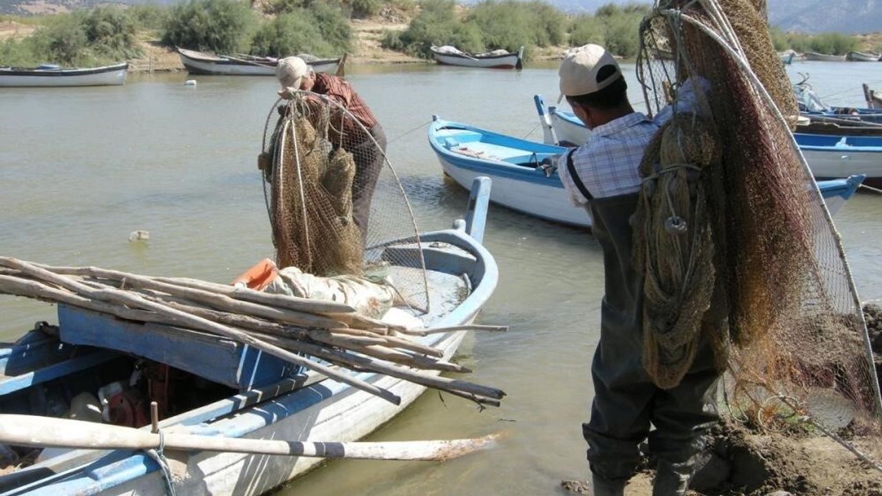 Yılan Balıkları 7 Bin Kilometre Katedip Bafa Gölü'ne Ulaştı — Tezgahlarda 700 TL/kg