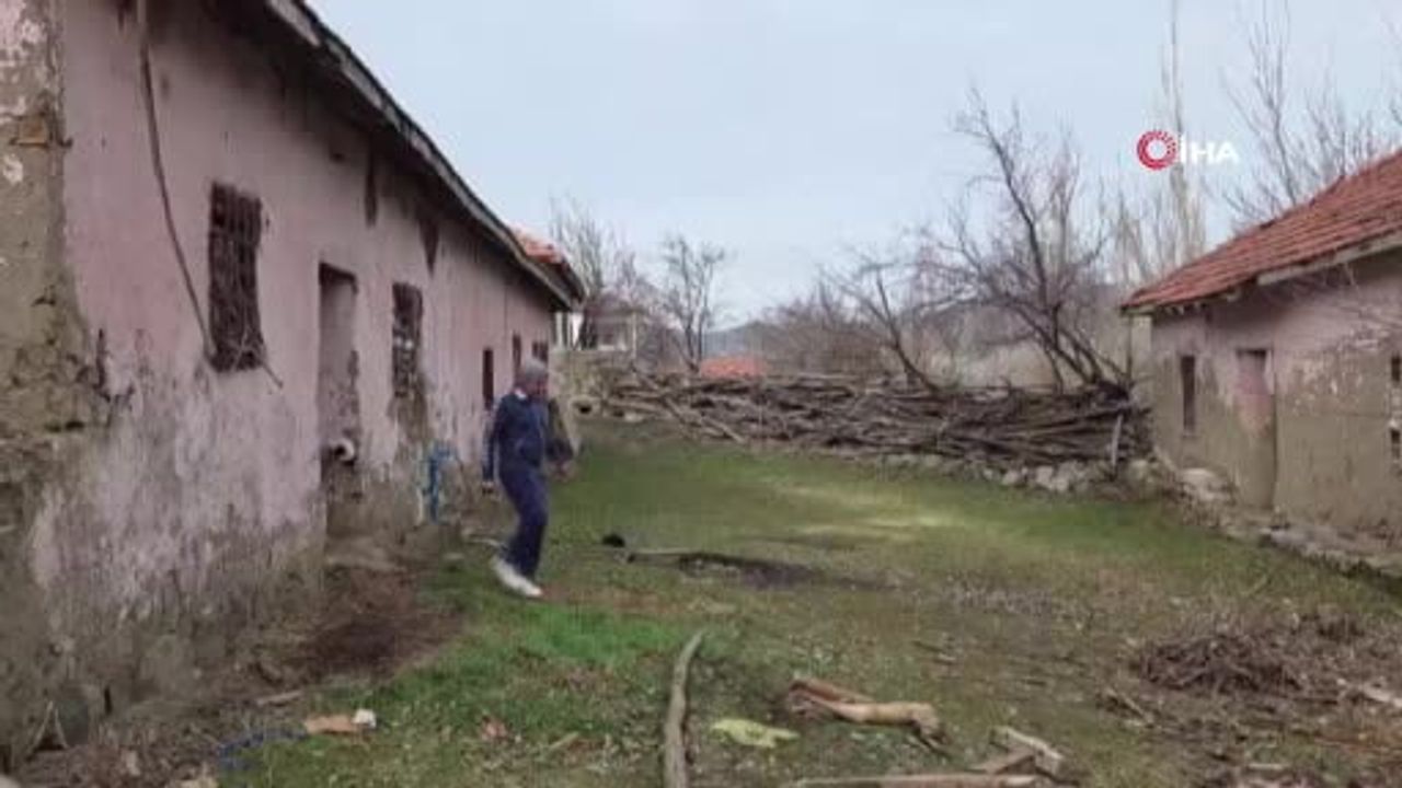 Yozgat'ta Emekli Erol Önal Koyunlarına Antrenörlük Yapıyor