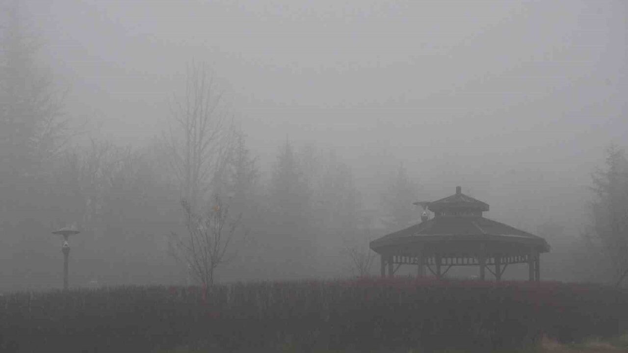 Yozgat'ta Yoğun Sis: Görüş 20 Metreye Kadar Düştü