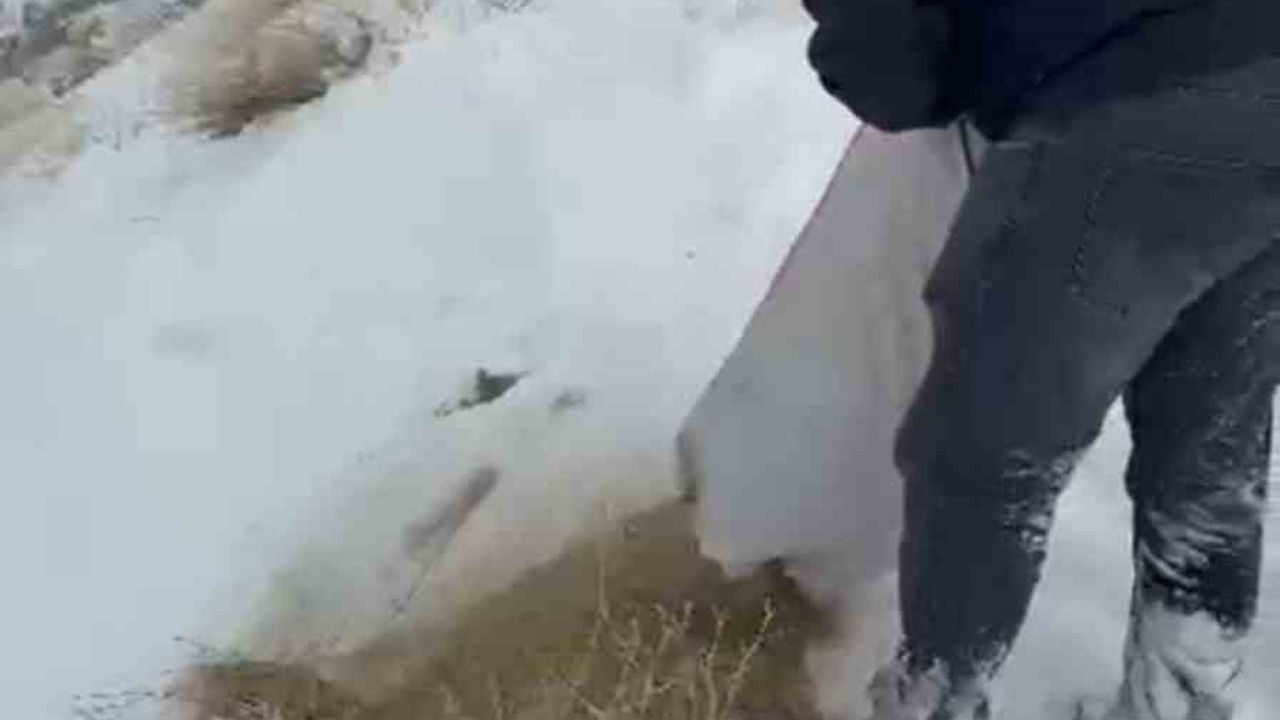 Yüksekova’da Metrelerce Karı Aşarak Dağ Keçilerine Yem Ulaştırıldı