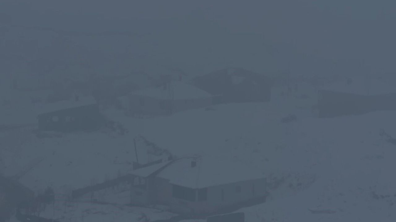 Yüksekova'da Yoğun Sis Hayatı Felç Etti: Görüş 5 Metreye Düştü