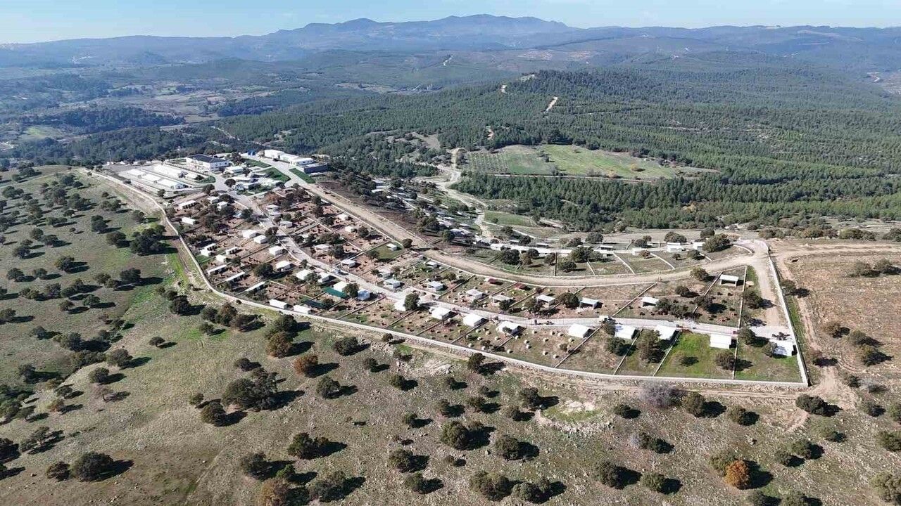 Yunusemre Hayvan Yaşam Merkezi: Sokak Hayvanlarına Modern Yuva