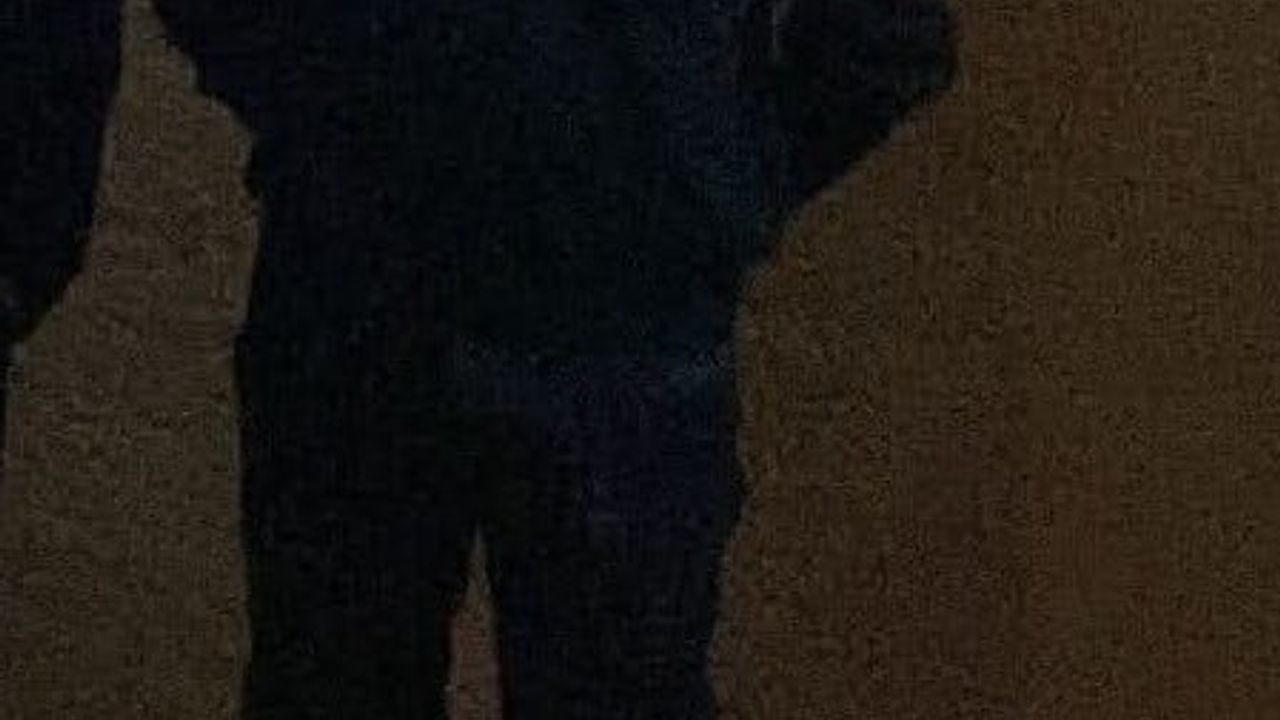 Zile'de Trafik Kazası: Hurdaya Dönen Otomobilin Sürücüsü Ali Çaylak Öldü