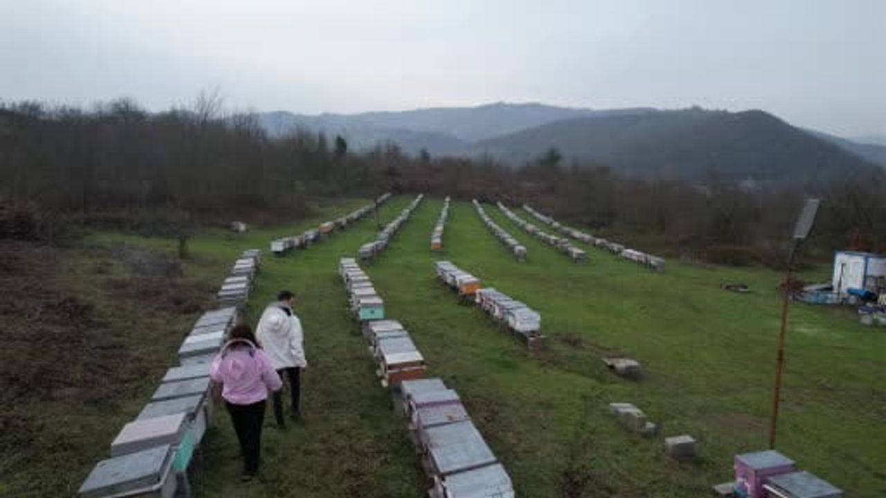 Zonguldak Kestane Balı Dünya Zirvesinde: Muhammet Akosman İki Yıl Üst Üste Altın