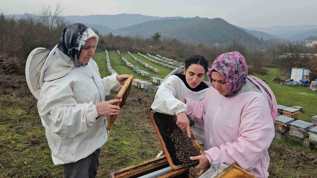 Zonguldak'ta Anne-Kız Dayanışmasıyla Kestane Balı Üretimi