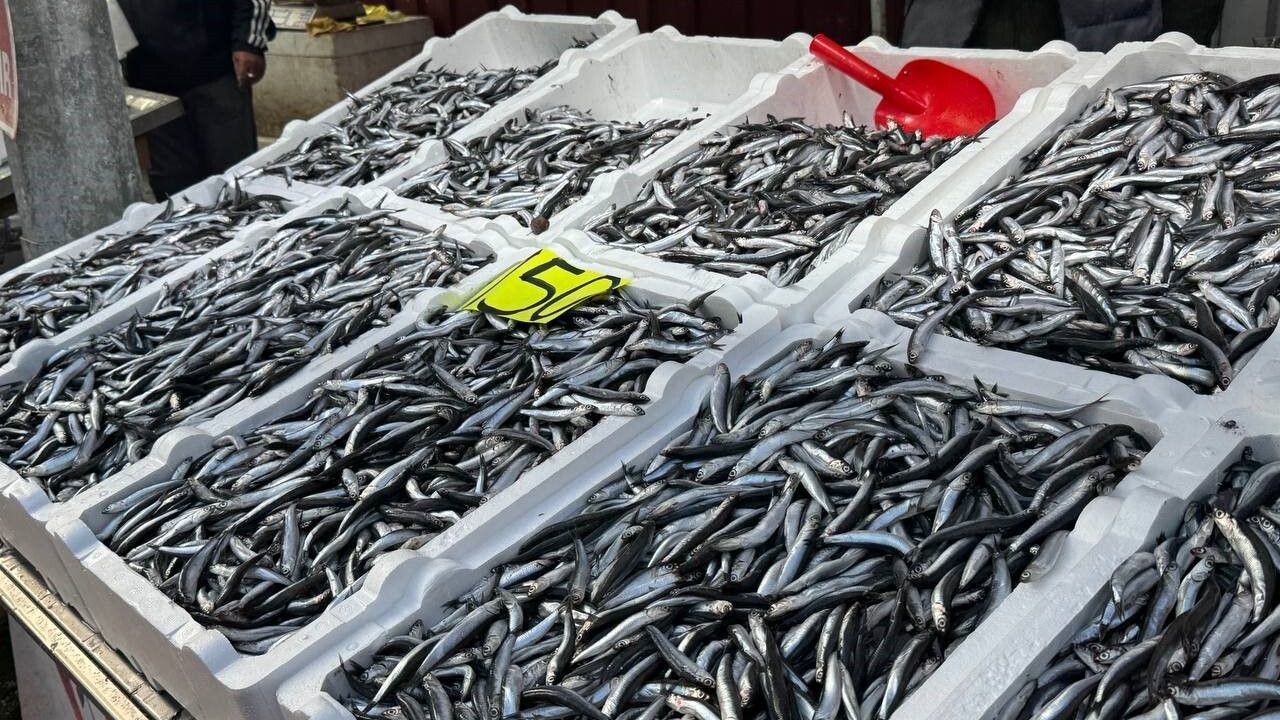 Zonguldak'ta hamsi 150 TL'ye yükseldi