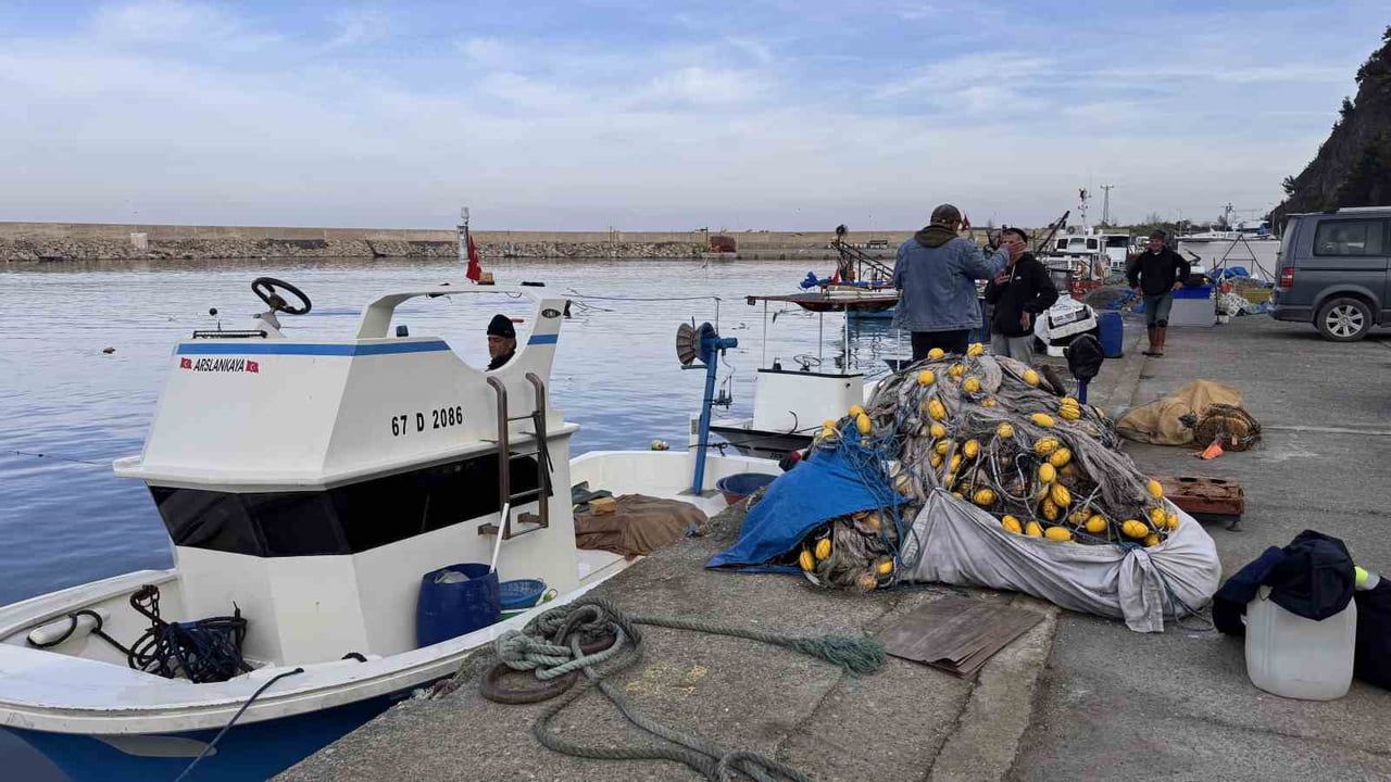 Zonguldak'ta Hamsi Bolluğu, Palamut Yokluğu