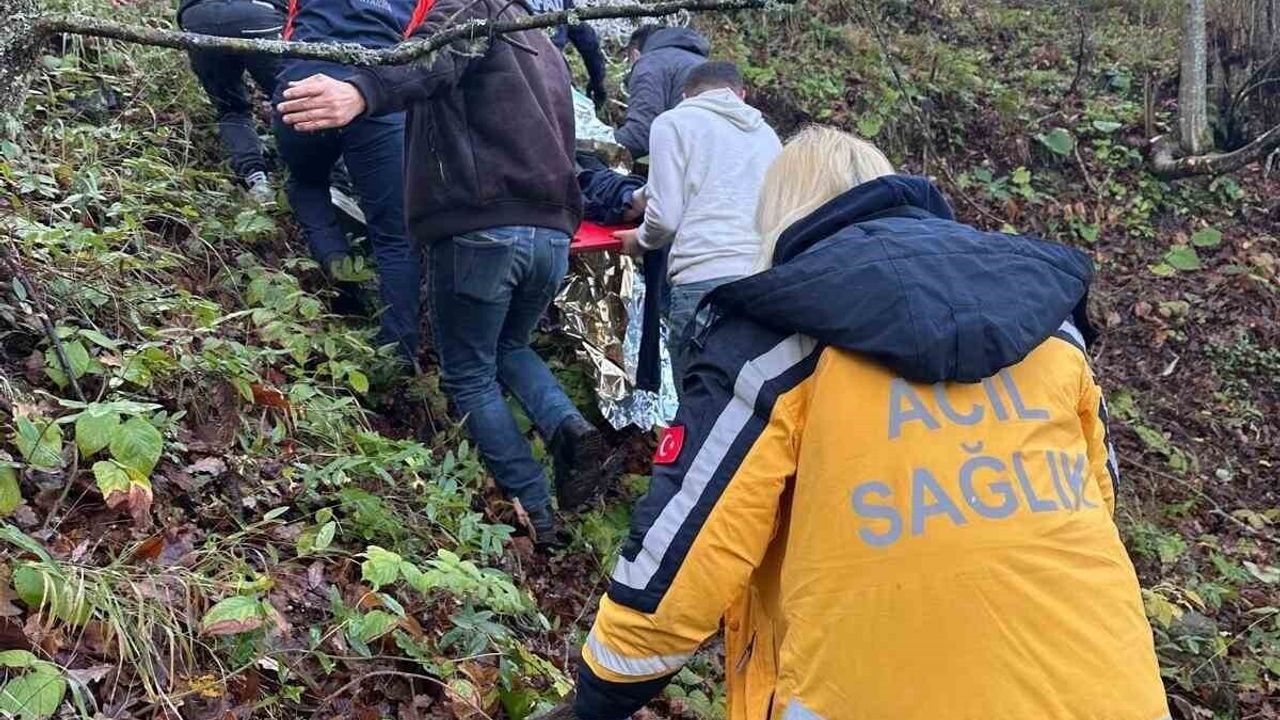 Zonguldak'ta otomobil ormanlık alana uçtu: 2 yaralı