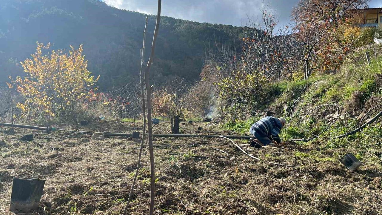 82 Yaşındaki Yeminli Mali Müşavirden Alanya'da Köy Hayatına Örnek Proje