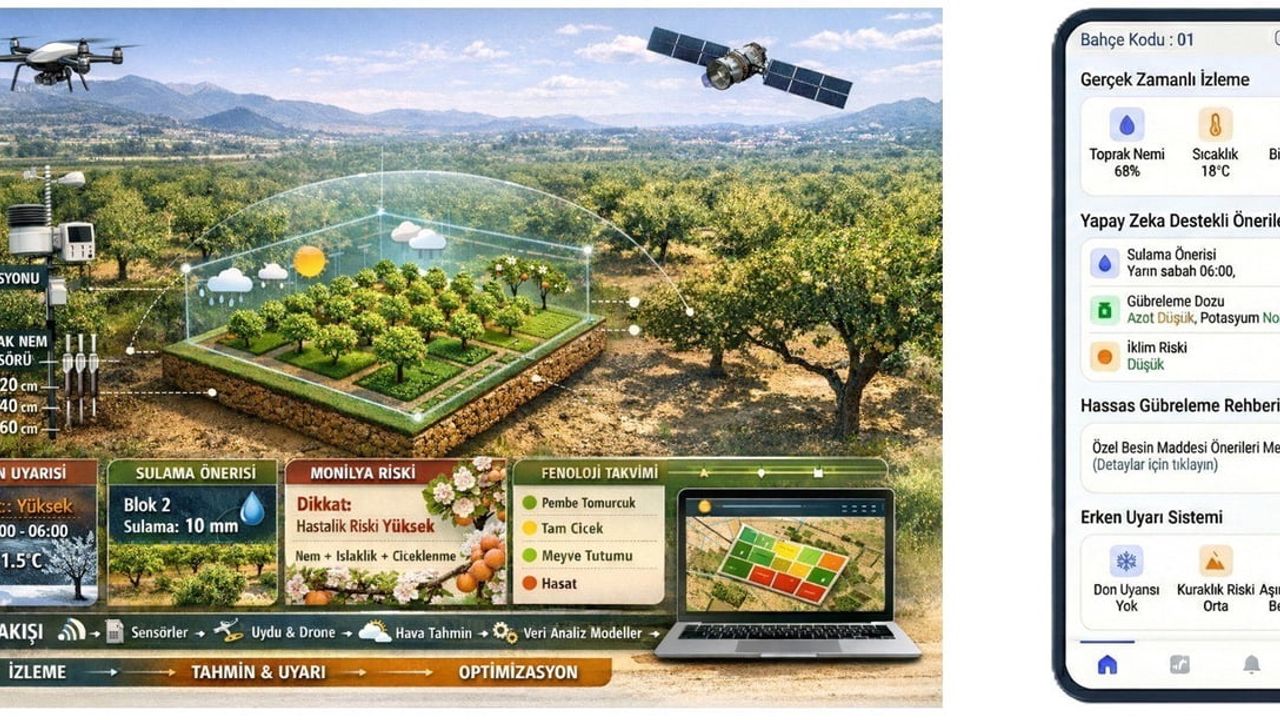 AB Destekli Akıllı Tarım Projesiyle Malatya'da Kayısı Üretimine İklim Direnci