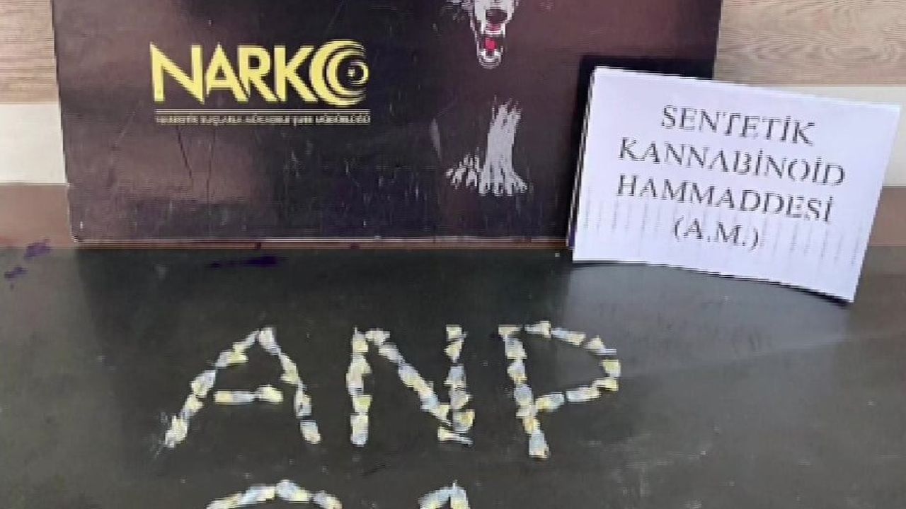 Adana'da 4 kilo 983 gram bonzai hammadde ele geçirildi, E.A. tutuklandı