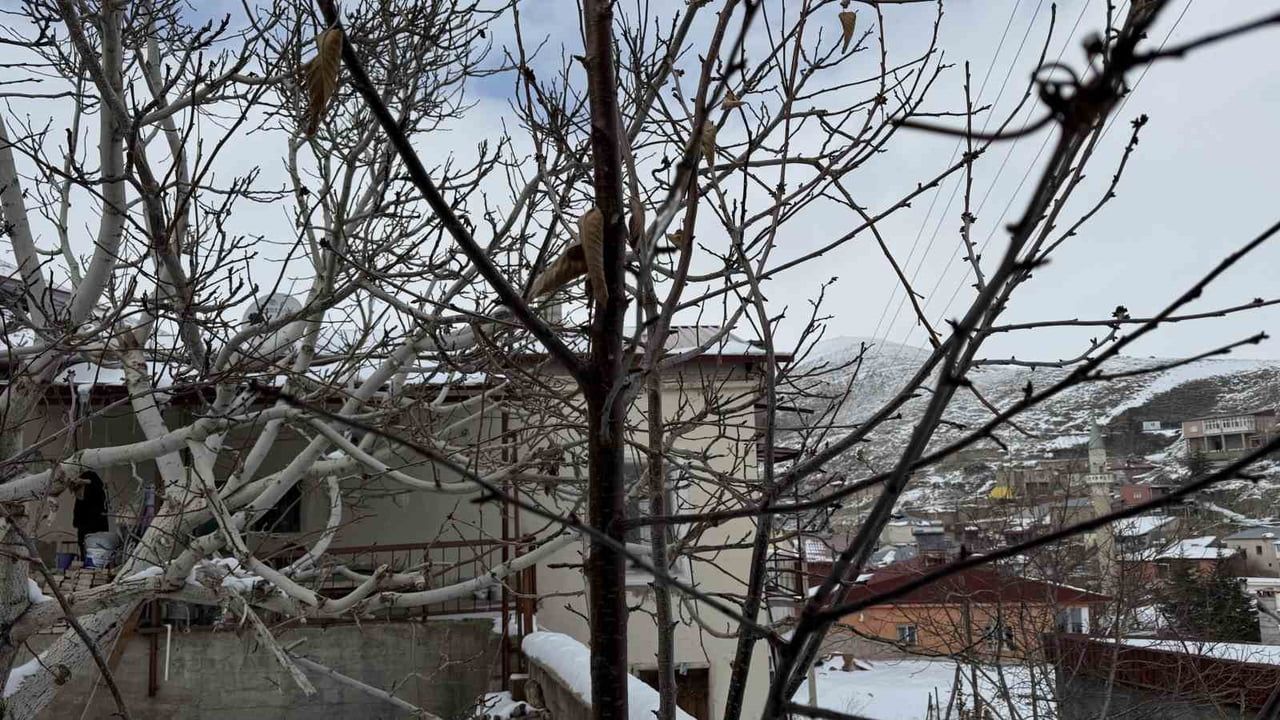 Adana’da Yağışlar Çiftçiyi Rahatlattı: İkinci Üründe Su Sıkıntısı Yok