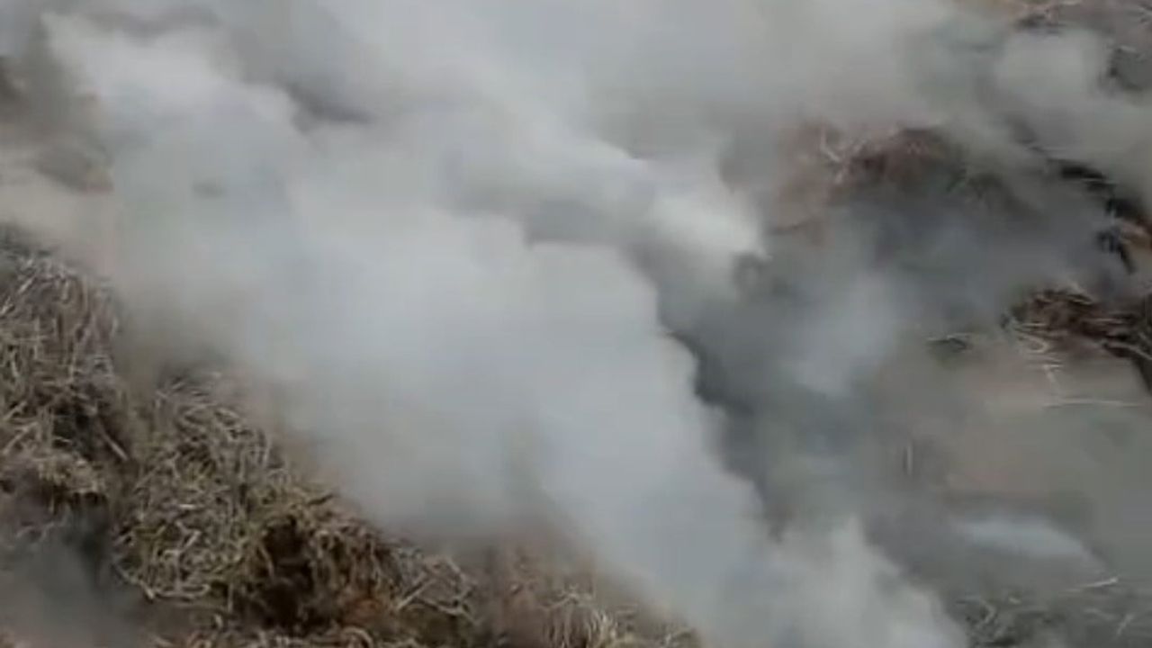 Adana Karaisalı'da Samanlık Yangını Kontrol Altına Alındı