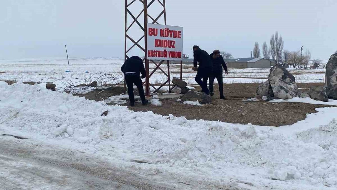 Adilcevaz’da kuduz alarmı: Kömürlü köyü karantinaya alındı