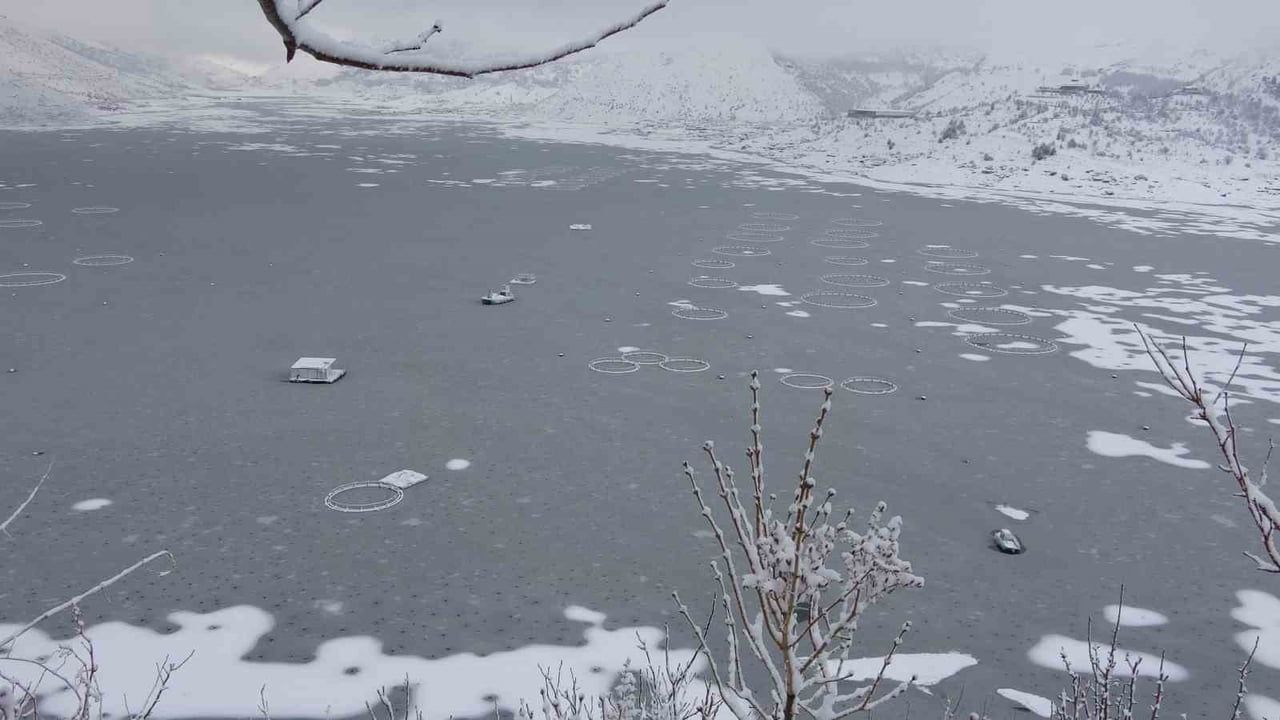 Adıyaman Çat Barajı'nın Yüzeyi Tamamen Buz Tuttu