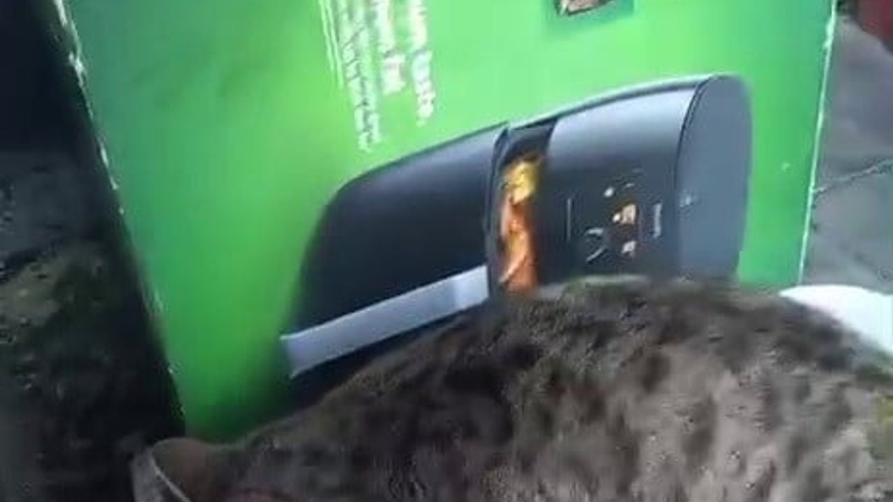 Adıyaman'da Kar Yağışı: Vatandaşlar Sokak Hayvanlarını Besledi