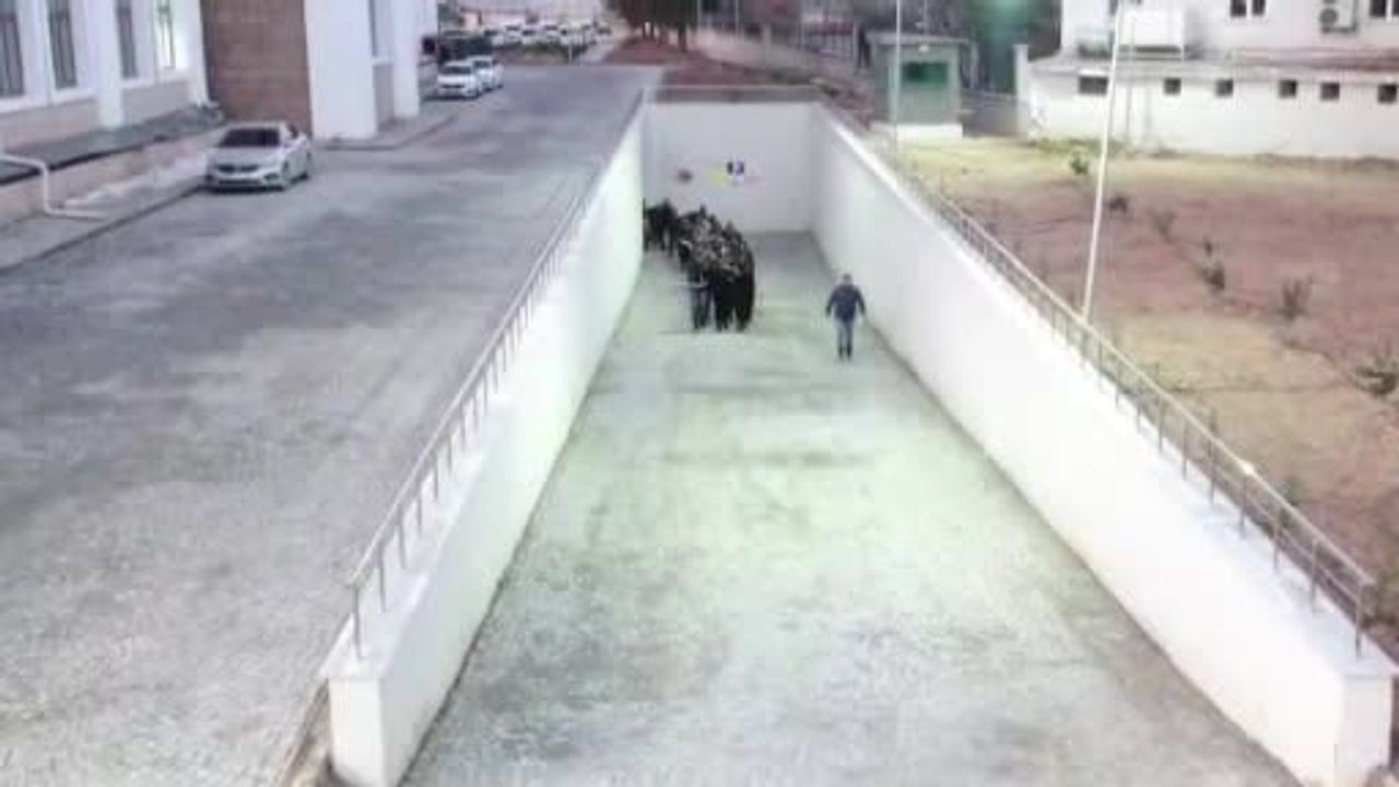 Adıyaman’da Operasyon: 21 Gözaltından 14’ü Tutuklandı