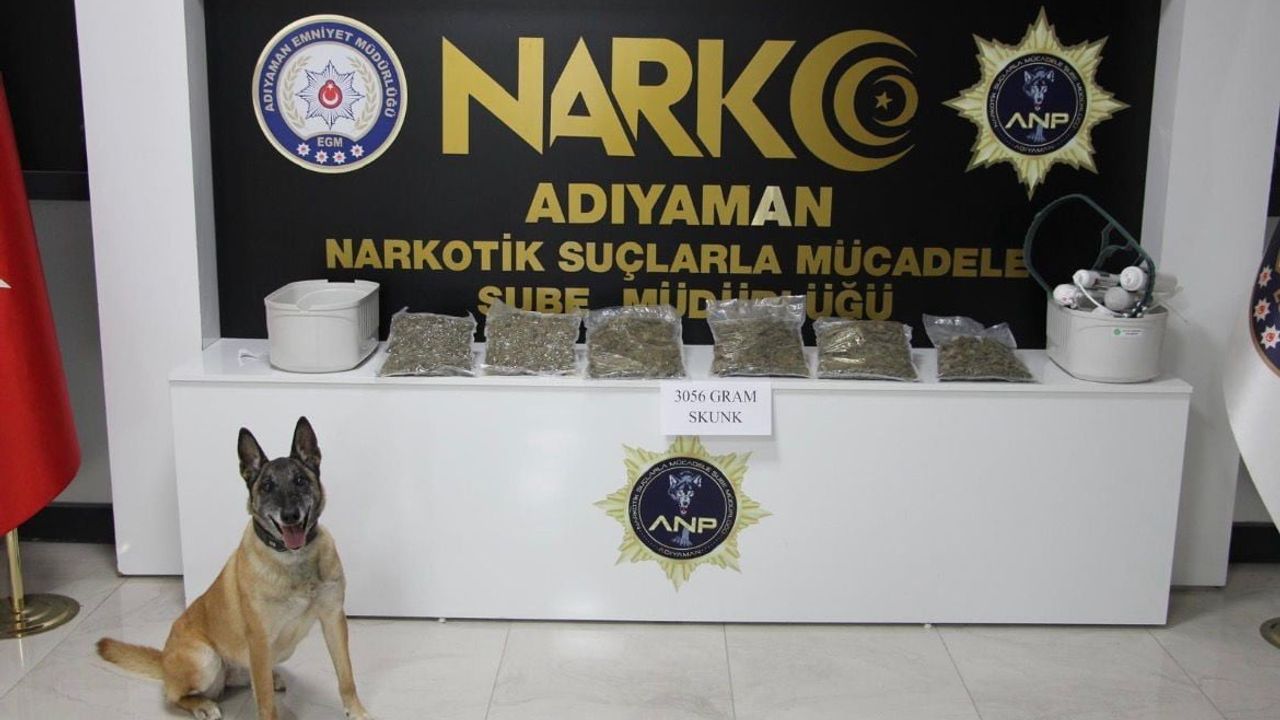 Adıyaman'da Otobüste 3 Kilo Skunk Ele Geçirildi: 1 Tutuklama