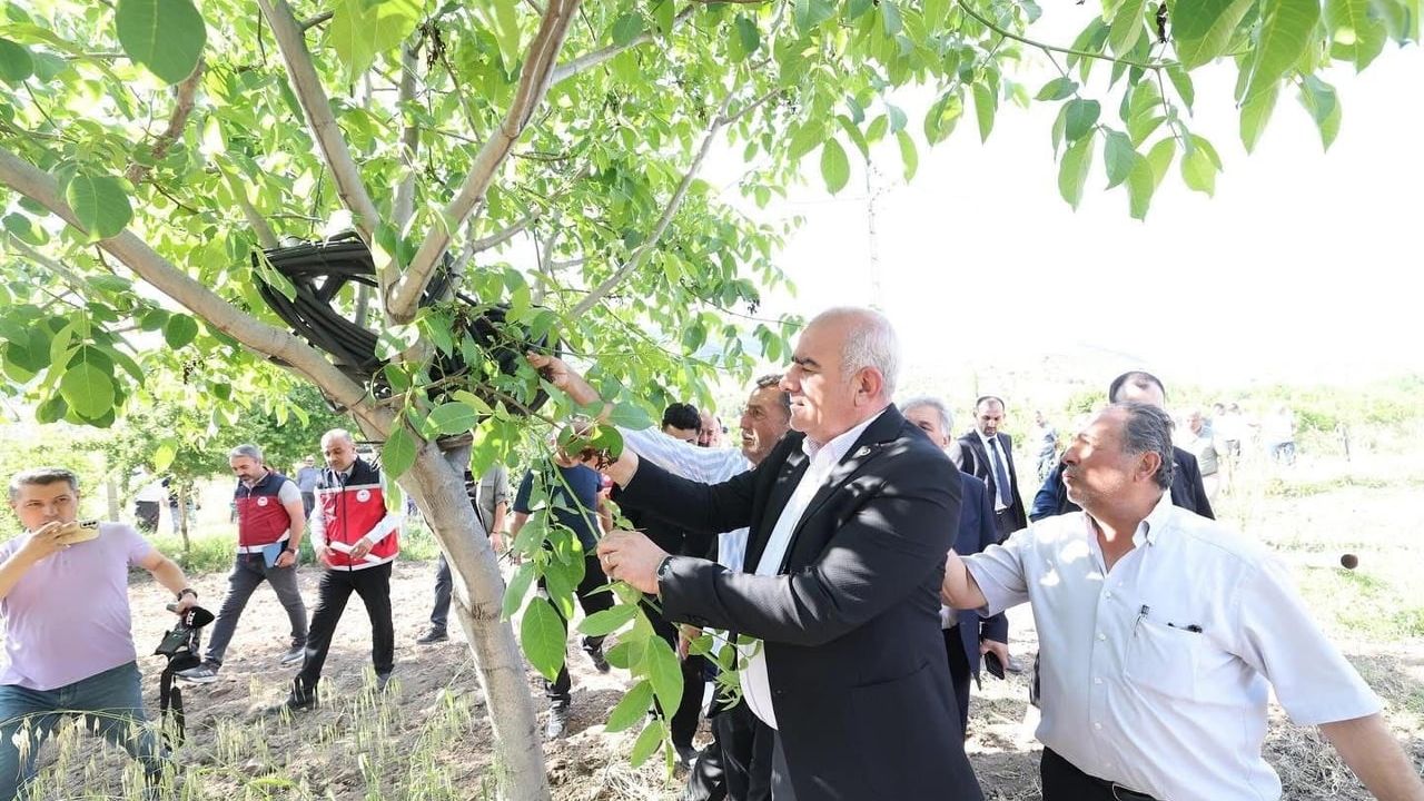 Adıyaman'da Trabzon Hurması, Dut ve İncire 6 Milyon TL Destek Ödemesi Başladı