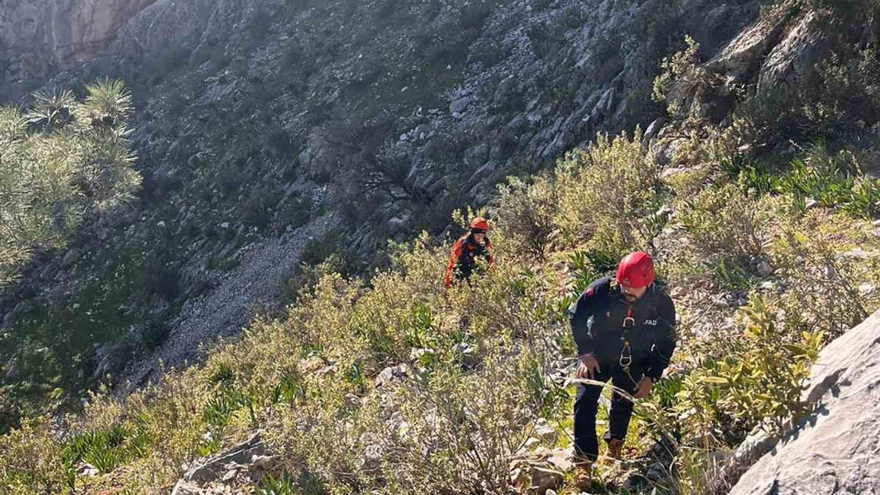 AFAD'tan Ula'da keçi kurtarma operasyonu