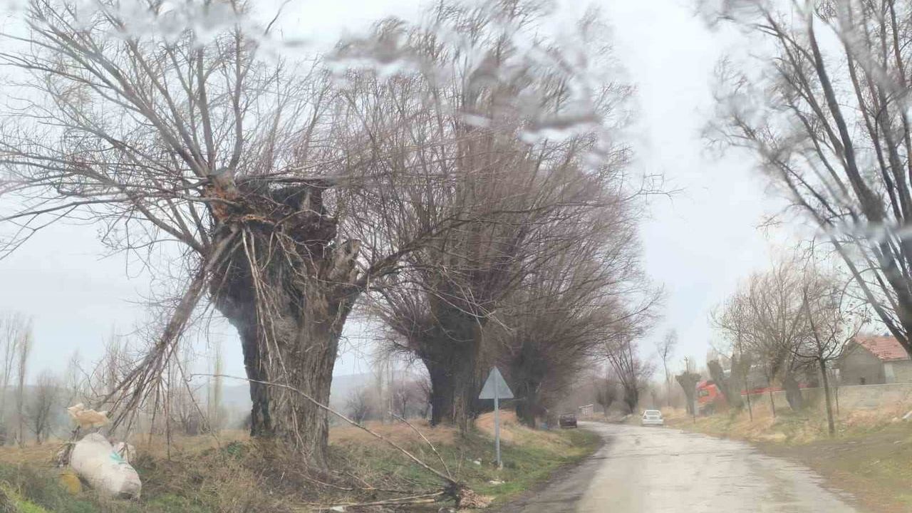 Afyonkarahisar'da Balkondan Düşen Saksı Otomobilin Üzerine Düştü — Vatandaş Ölümden Döndü