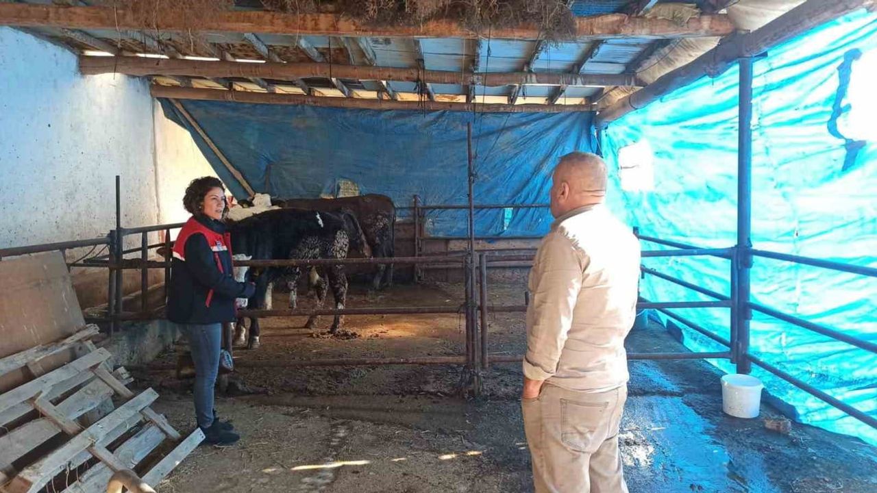 Afyonkarahisar'da ÇMVA Ziyaretleri: Besicilik İşletmelerinde İnceleme ve Bilgilendirme