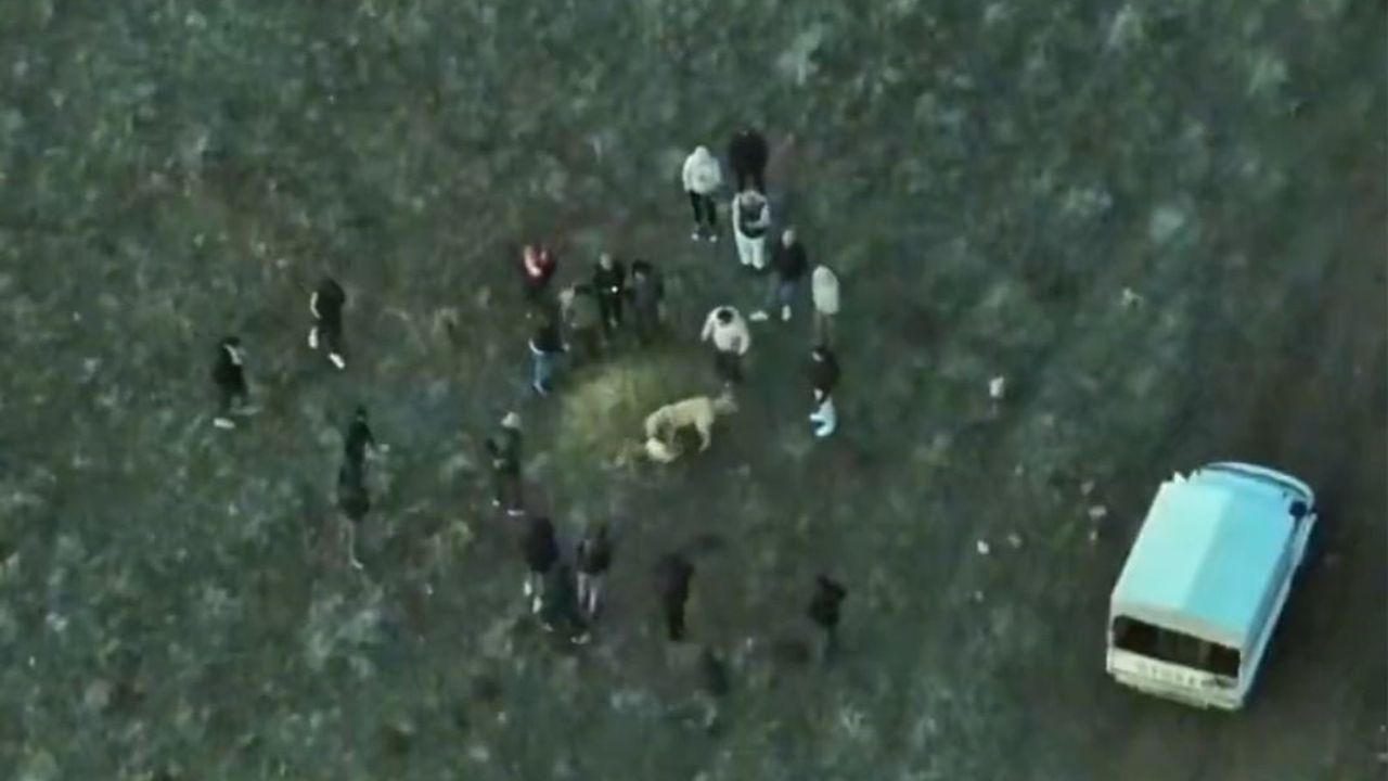 Afyonkarahisar'da dronla operasyon: Köpek dövüşünde 14 gözaltı