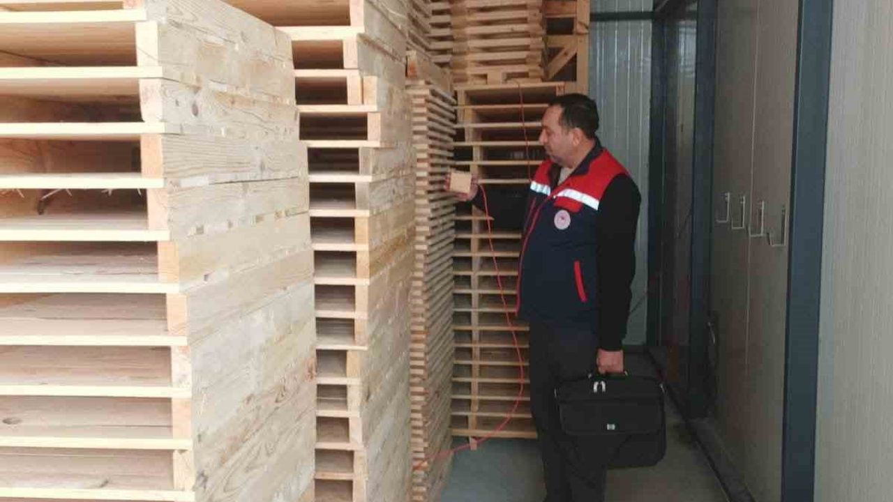 Afyonkarahisar'da Isıl İşlem Fırınlarına ISPM-15 Denetimi