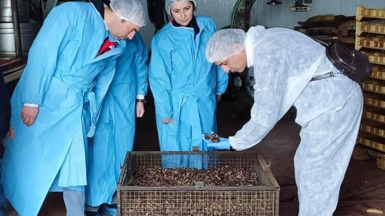 Afyonkarahisar'da Köpek Maması Hammaddesi Tesisinde Denetim