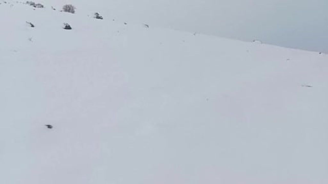 Afyonkarahisar'da Yüksek Kesimlerde Kar Yağışı, İl Özel İdaresi Seferber