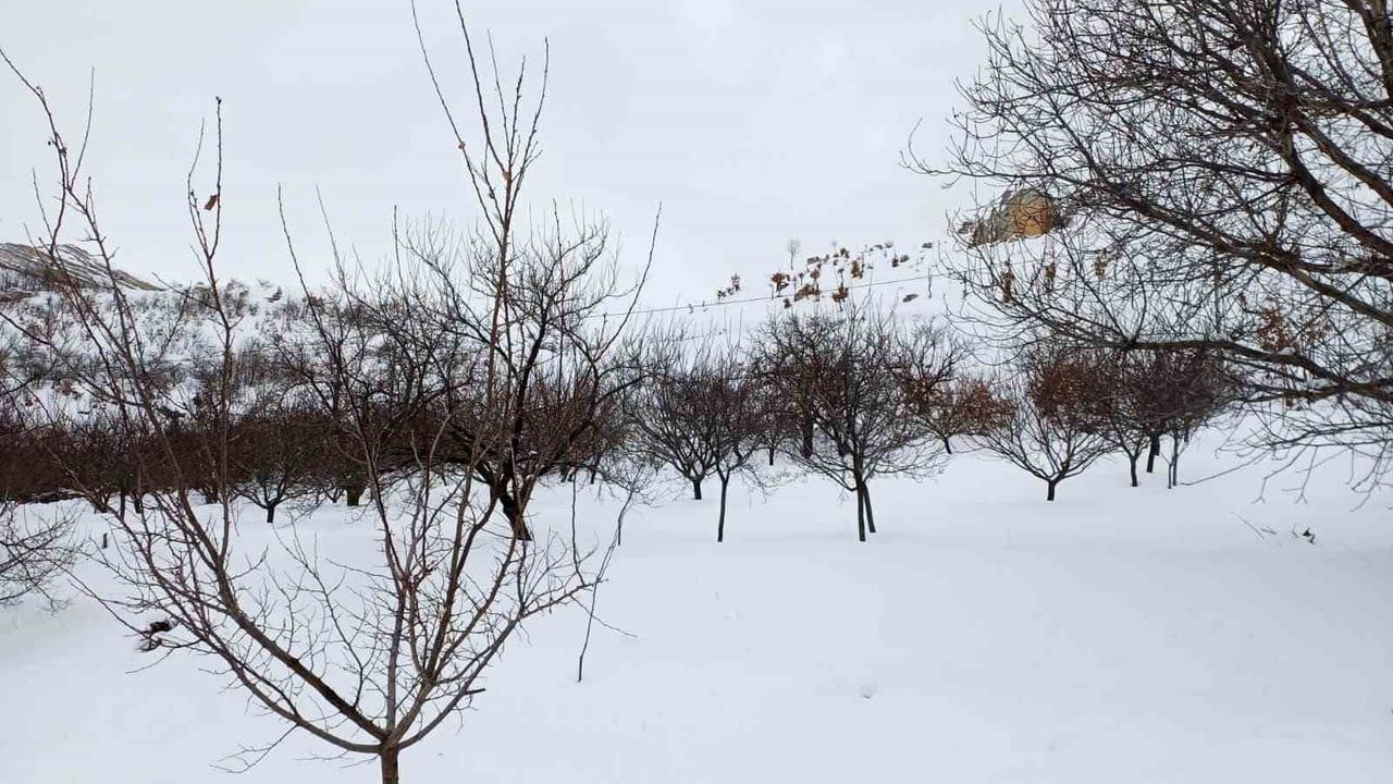 Akçadağ'da Kar 1 Metreye Ulaştı — Kırsalda Ulaşım Aksadı