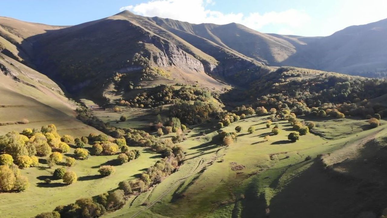 Aksu Yaylası'nda Sonbahar Güzelliği Çığla Gölgelendi — Ardanuç, Artvin