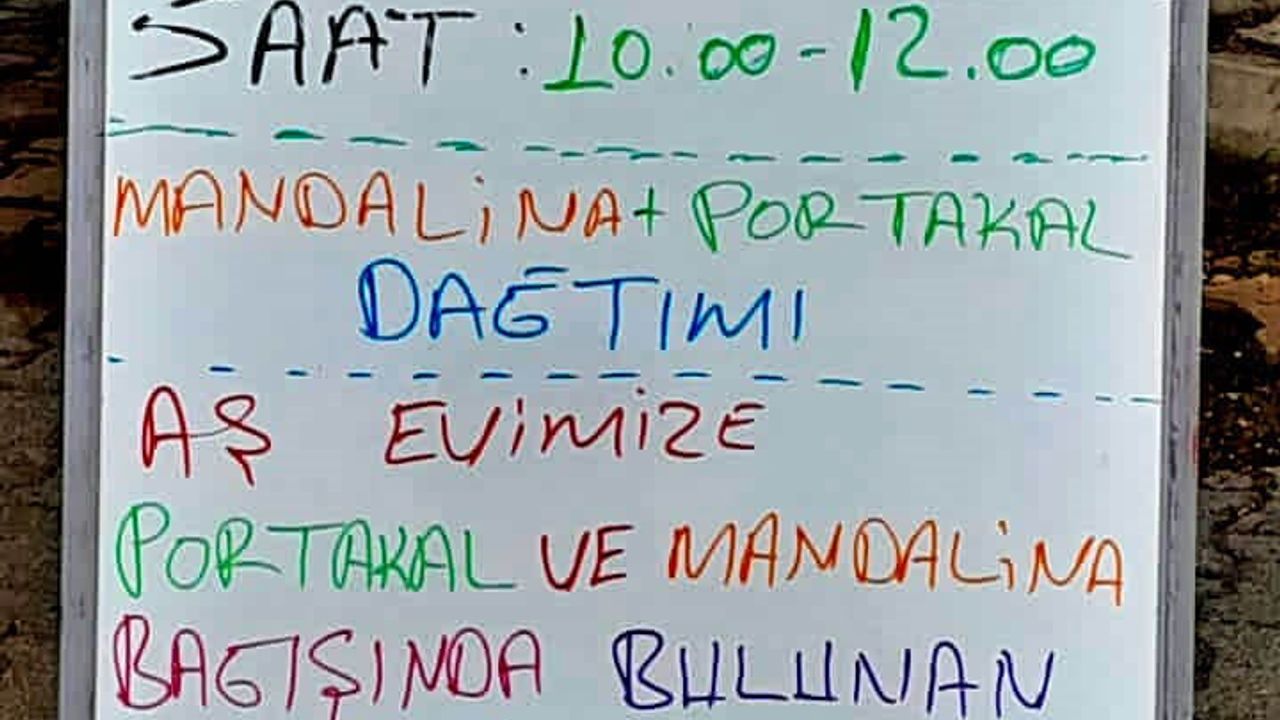 Alaçatı’dan Hatay’a Dayanışma: 'Dalından Sofraya' Narenciye Kampanyası