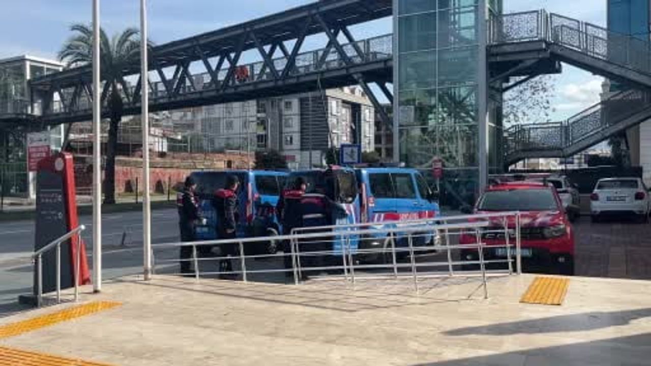 Alanya'da avokado hırsızlığı: 3 şüpheli jandarma tarafından yakalandı