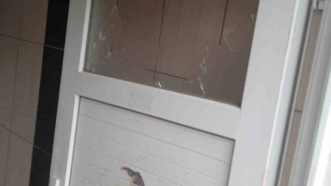 Alanya’da Umumi Tuvalete Saldırı: Cam ve Seramikleri Kırıldı