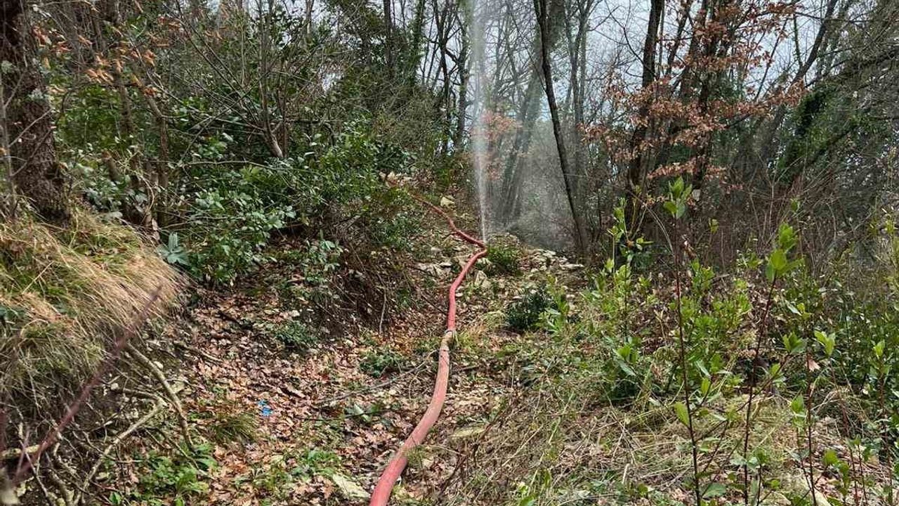 Alaplı’da Dereye Atılan Ölü Tavuklar İçme Suyunu Kesti: 8 Köy Susuz