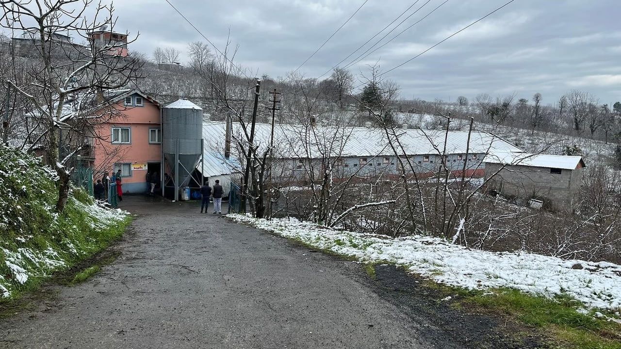 Alaplı'da Kümes Yangını: Vatandaşların Müdahalesi Tavukları Kurtardı