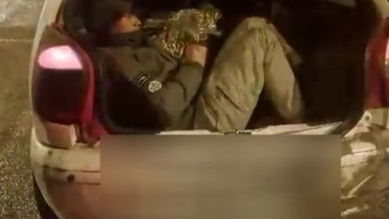 Amasya'da Durdurulan Otomobilin Bagajından 5 Afgan Kaçak Göçmen Çıktı