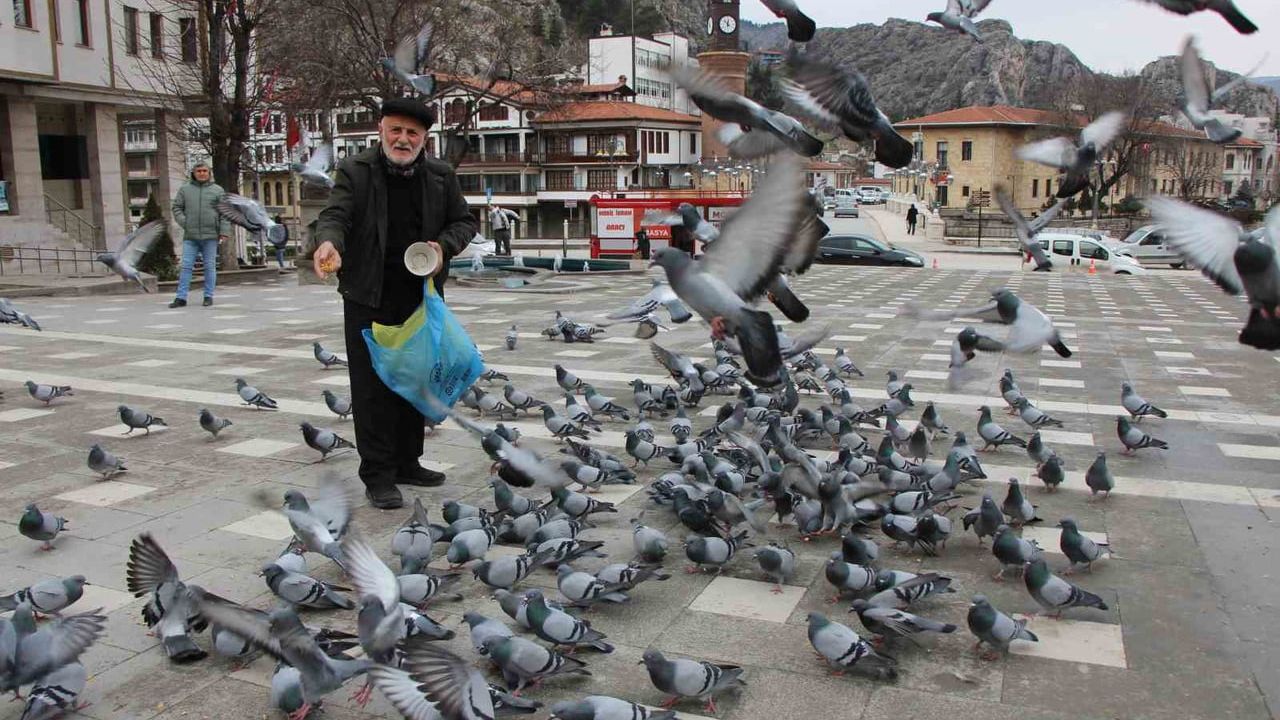 Amasya'nın 'Yemci Dede'si Cahit Kalaycı: 20 Yıldır Güvercinleri Besliyor