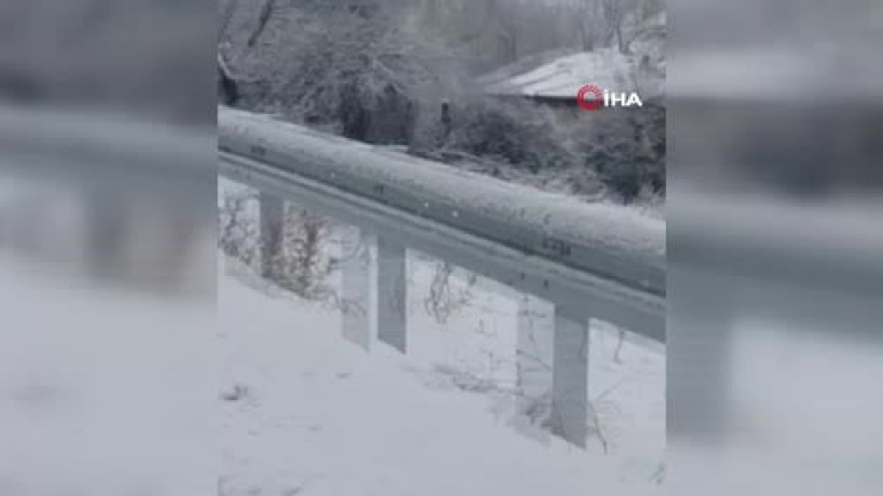 Ankara Akyurt’ta Karacalar Sürü Halinde Yol Geçişi Kamerada