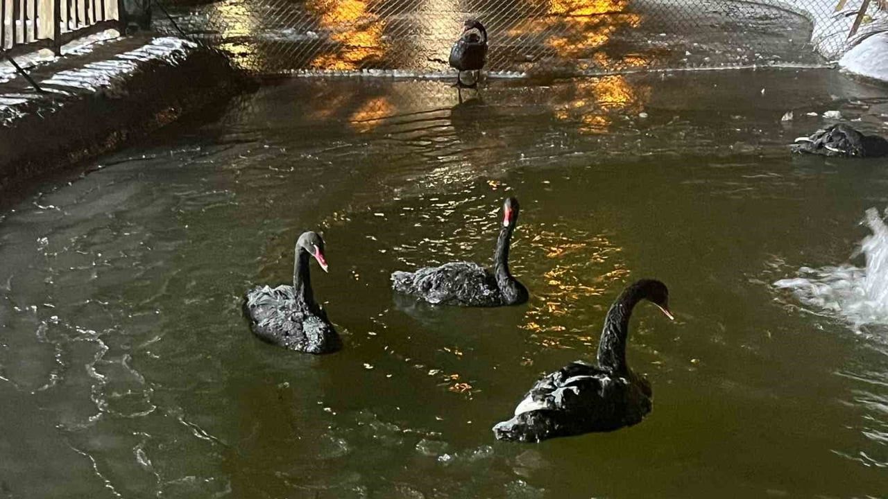 Ankara'da Kar Sonrası Aşırı Soğuk: Hava Eksi 11 Derece