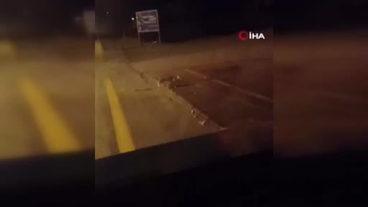 Ankara Elmadağ’da Aç Kalan Tilkiler Şehir Merkezine İndi