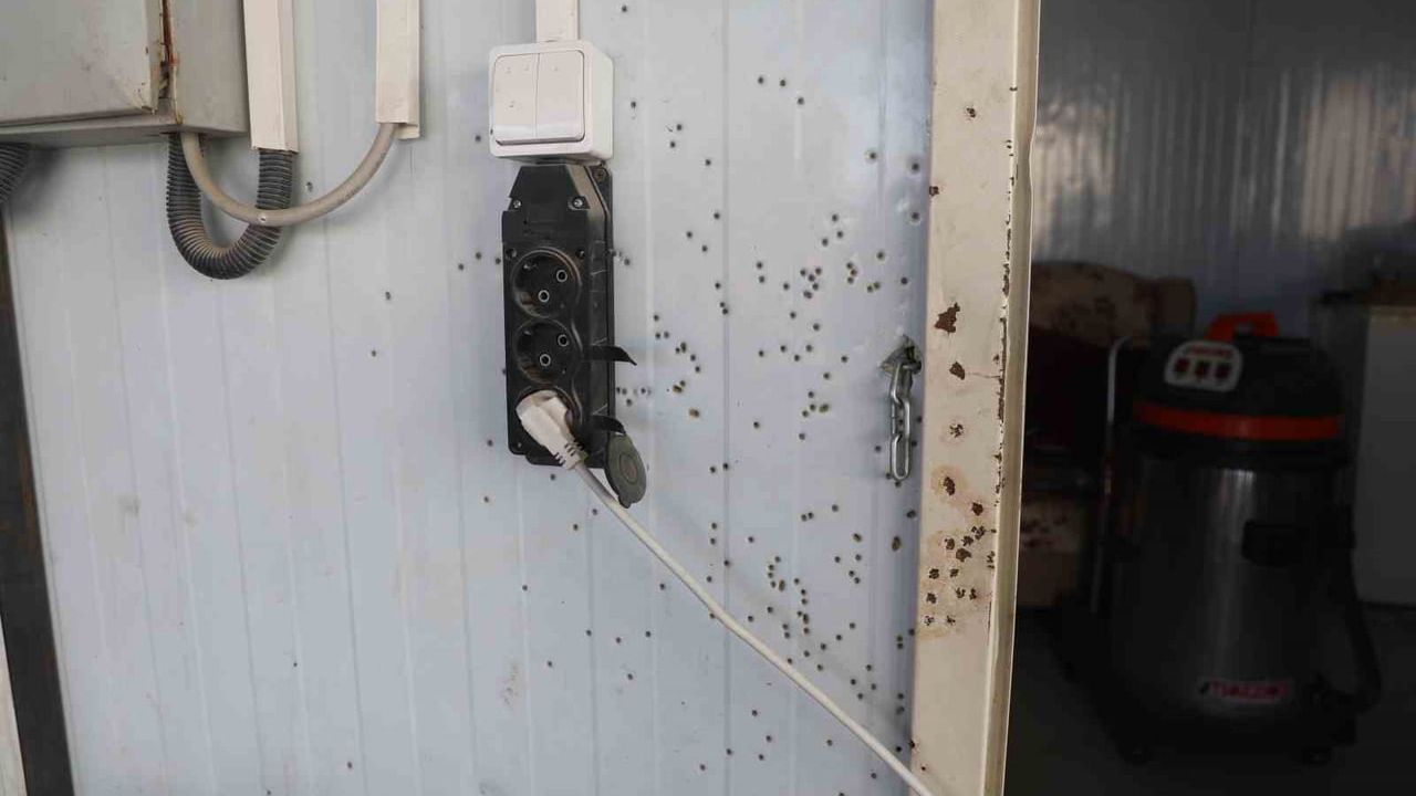 Antakya'da Motosikletli Maskeli Şahıslar Oto Yıkamayı Pompalı İle Kurşunladı