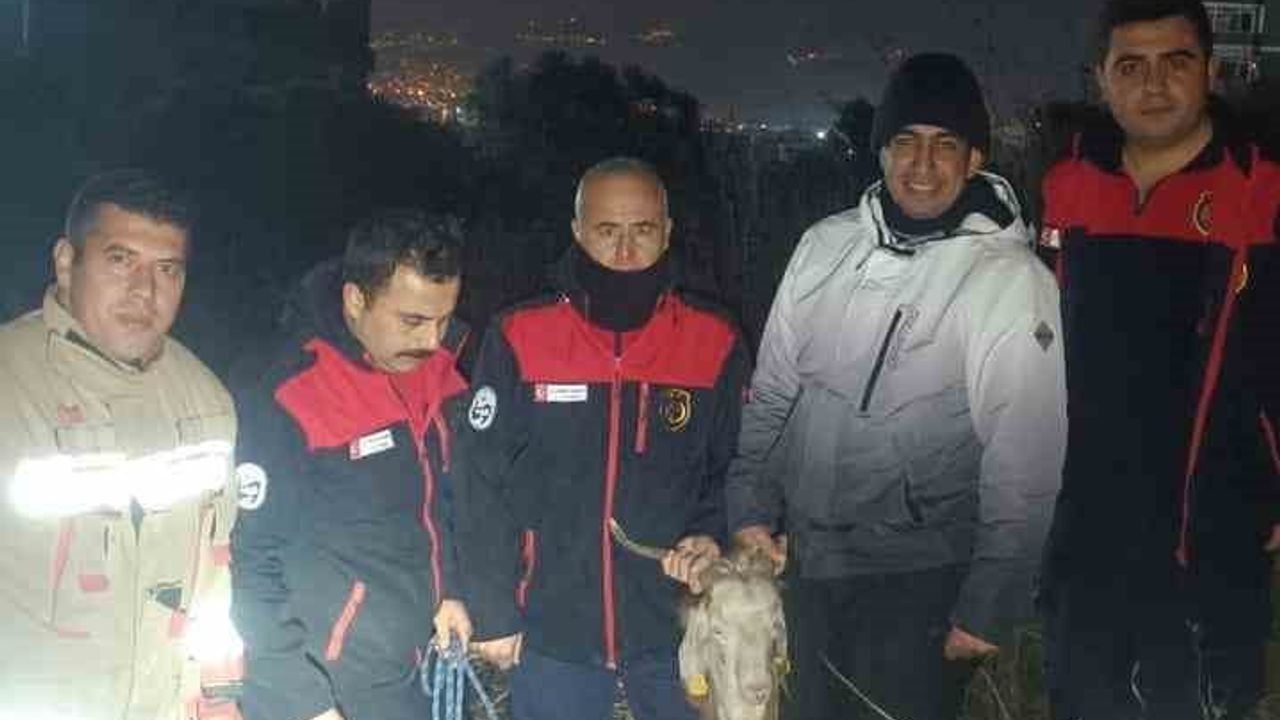 Antakya'da Su Kuyusuna Düşen Keçi İtfaiye Ekiplerince Kurtarıldı