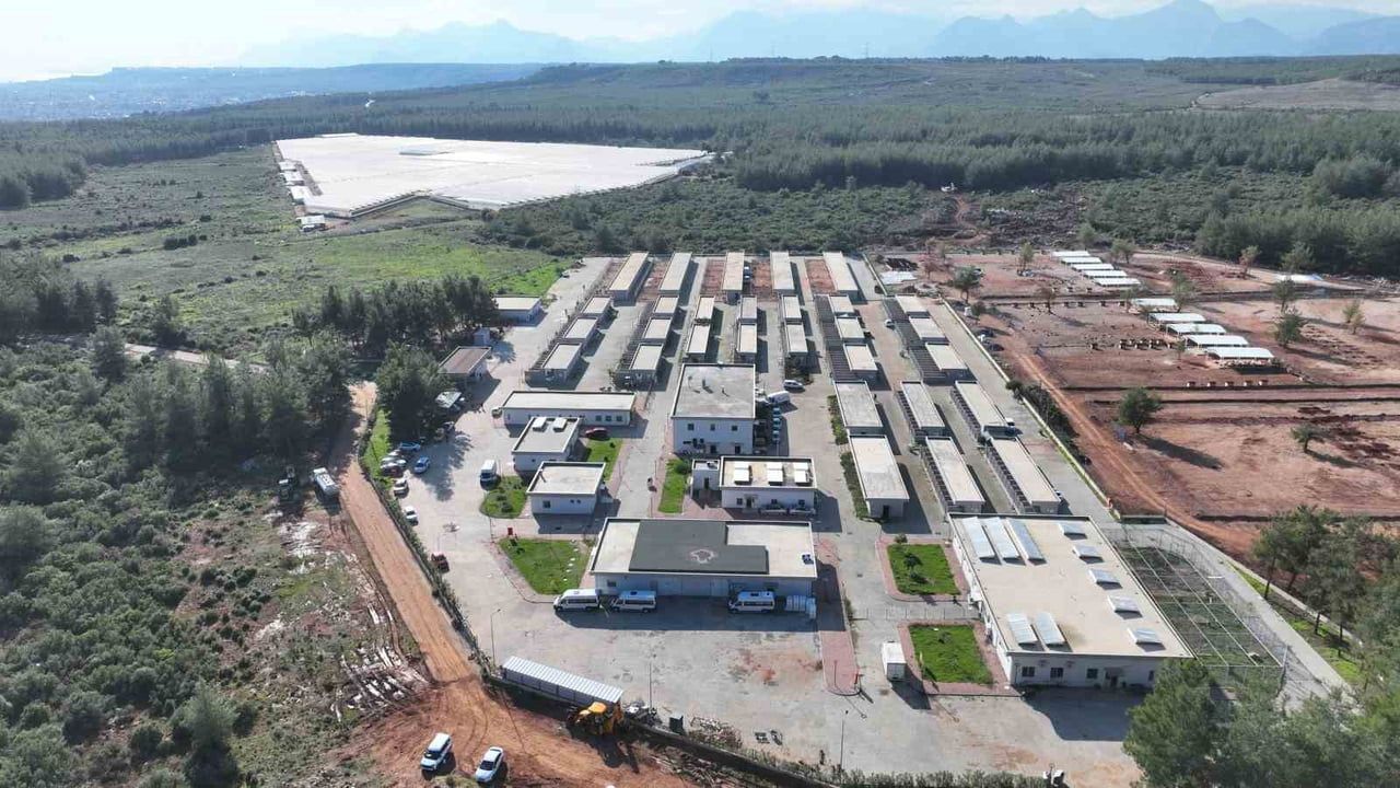 Antalya Büyükşehir Sokak Hayvanları Bakımevi 2025'te Binlerce Can Dostuna Yuva Sağladı