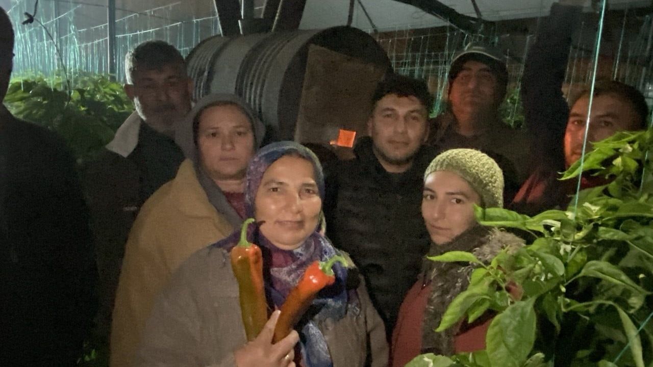Antalya'da Seralarda Don Nöbeti: Üreticinin Maliyeti Artıyor