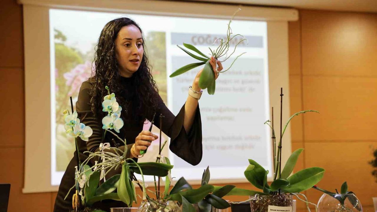 Antalya'da Uygulamalı Orkide Bakım Eğitimi Yoğun İlgi Gördü