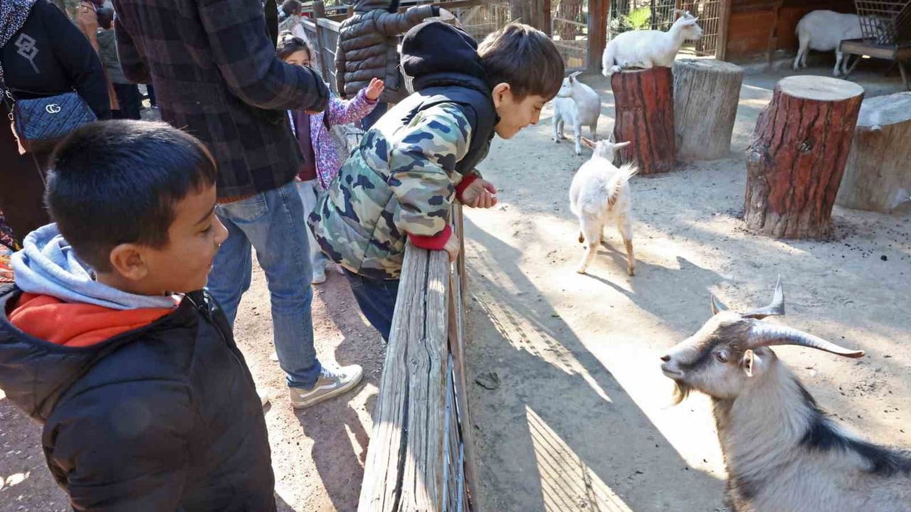 Antalya Doğal Yaşam Parkı'nda Çocuklara Hayvan ve Doğa Sevgisi — 5 bin 432 Öğrenciye Ulaşıldı