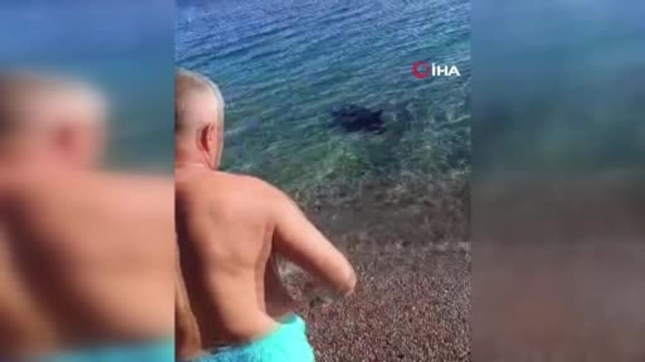 Antalya Konyaaltı Sahili'nde Oltaya Erkek Cesedi Takıldı