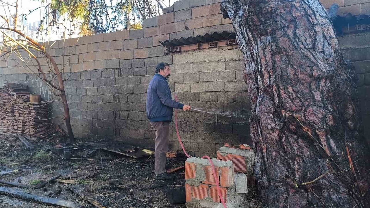Antalya Muratpaşa'da Çam Ağacı Alev Aldı — Mahalle Hortumlarla Müdahale Etti
